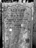 image of grave number 27848